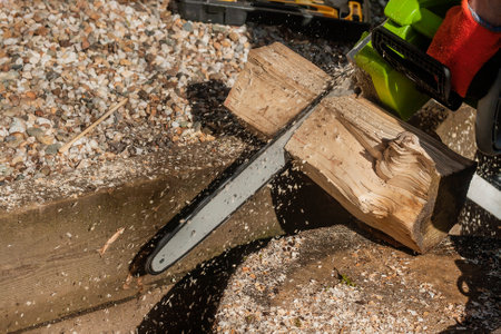 Professional lumberjack cutting coppicing logs with a chainsaw and protective glovesの写真素材