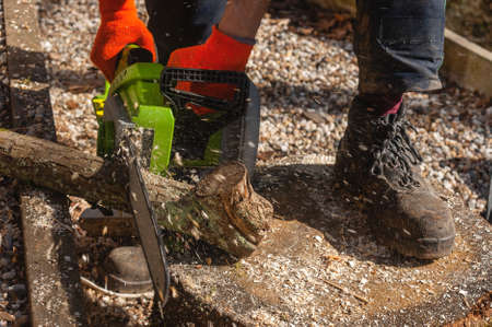 Proffesional lumberjack cutting coppicing logs with a chainsaw and working boots and protective glovesの写真素材