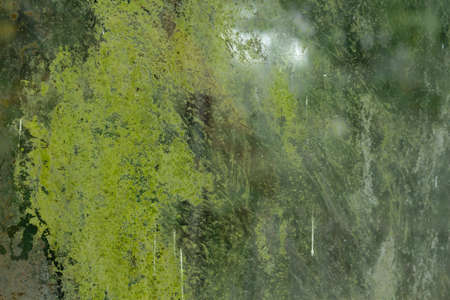 Green mold on old grimy window pane, grunge background or textureの写真素材