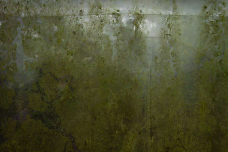 Green mold on old weathered window pane, grunge background or textureの写真素材
