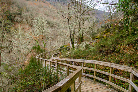 Wooden walkway in Mao River Canyon, Ribeira Sacra, Galicia, Spainの写真素材
