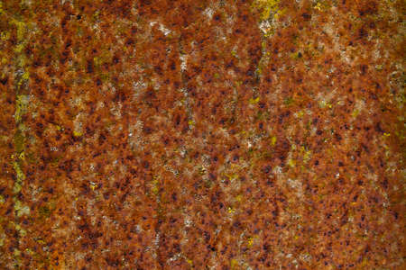 Old weathered corroded metal sheet with mold, grunge background or textureの写真素材