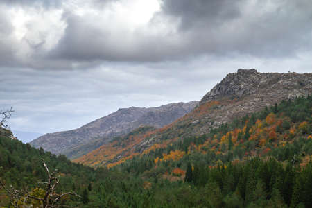 Granitic mountains and autumnal colored temperate broadleaf and mixed forest landscape in Peneda-Geres National Park, Portugalの写真素材