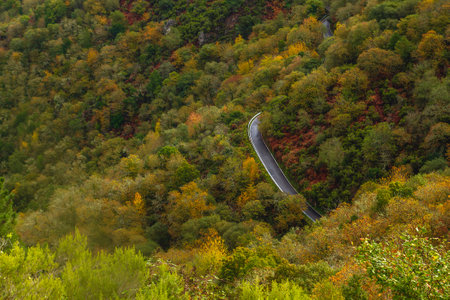 Curvy mountain road across autumnal atlantic forest in Ribeira Sacra, Galicia, Spainの写真素材