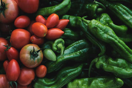 Fresh crops from the kitchen garden harvest, mature red tomatoes and green sweet peppersの写真素材