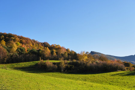 Green meadow and autumnal forests on a sunny day in the mountains, blue sky background