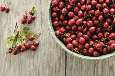 A bowl with hawthorn (Crataegus monogyna) red berries on rustic wooden table backgroundの写真素材