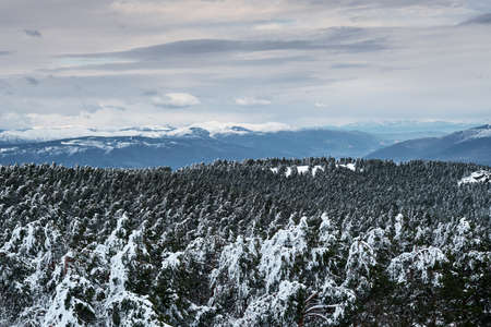Snowy mountain landscape in Manzaneda, Ourense, Spainの写真素材