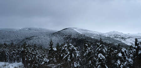 Snowy mountain landscape in Manzaneda, Ourense, Spainの写真素材