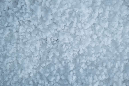 Freezing snowflakes texture after a snowfallの写真素材