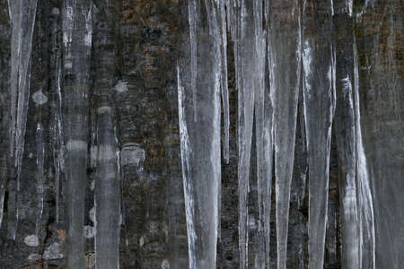 Icicle formations on the mountain rock, stock photoの写真素材