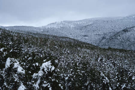 Winter landscape in the mountains after a snowfallの写真素材