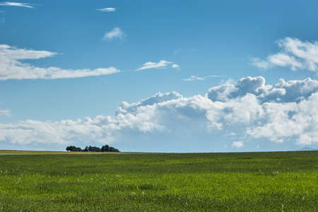 Green springtime fields and blue sky with clouds, minimalist landscapeの写真素材