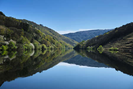 Springtime landscape in Ribeira Sacra, Galicia, Spainの写真素材