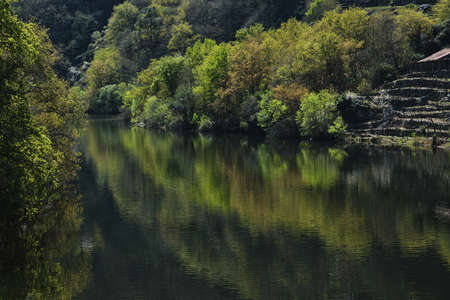 Springtime landscape in Ribeira Sacra, Galicia, Spainの写真素材