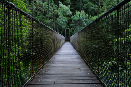 Suspension bridge over the river in green old-growth forest, Fragas do Eume natural park, Galicia, Spainの写真素材