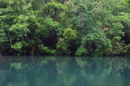 Green forest by the Eume river, Galicia, Spainの写真素材