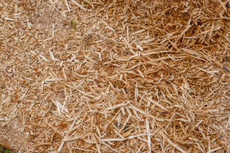 Sawdust shavings pile on a sawmill, rustic wood background or textureの写真素材