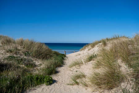 Sand dunes in A Lanzada Beach, Galicia, Spainの写真素材