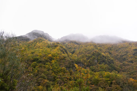 Native forest mass in the mountains of Serra do Courel, Galicia, Spain. Autumn landscapeの写真素材