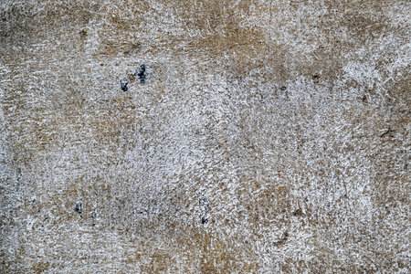 Old weathered white washed wall grunge textureの写真素材