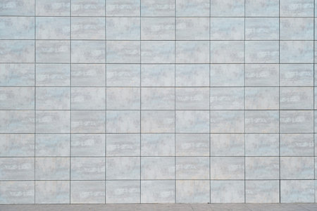 Ceramic wall tiles with matt finish
