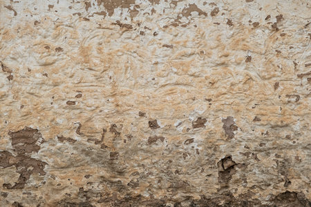 Old rustic lime washed wallの写真素材