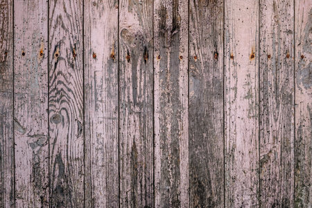 Detail of old rustic wooden planks wall with scraps of pink flacking paint, mould and rusted nails, grunge backgroundの写真素材