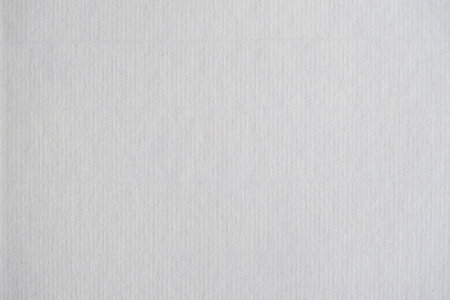 White blank goffered fine paper sheet textureの写真素材