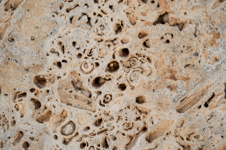 Detail of concrete formwork wall cladding porous texture
