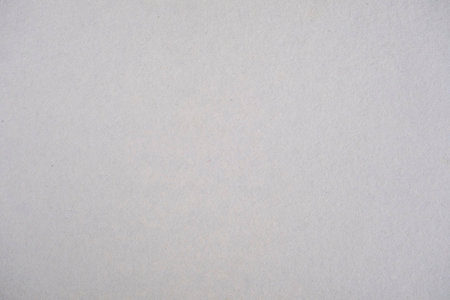 Blank white recycled paper sheet with natural fibresの写真素材