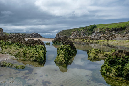 Beach with sedimentary rocks covered by green moss in Playa Virgen del Mar, Costa Quebrada, Cantabria, Spainの写真素材