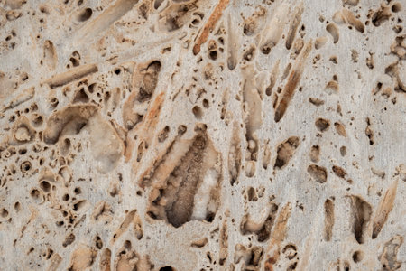 Detail of concrete formwork wall cladding porous abstract texture, selective focusの写真素材