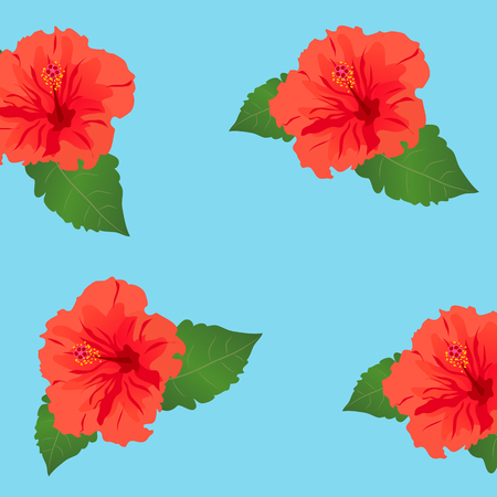 Hibuscus Flower Illustration, Backgroundのイラスト素材