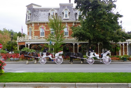 Horses with carriagesのeditorial素材