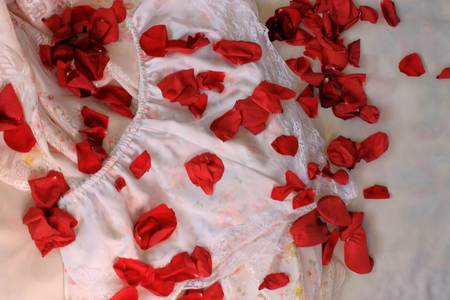 Silky Lingerie and rose petalsの写真素材