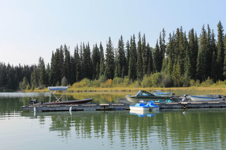 Morning docked boats scenic