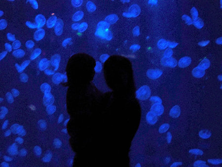 Silhouettes on blueの写真素材