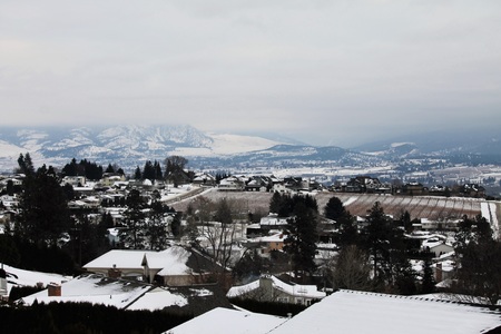 Neighborhood orchards against the hillsの写真素材