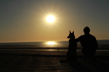Dog and his teacher watching the sunset on the beachの写真素材