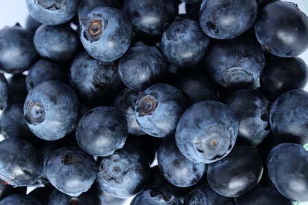 A delicious portion of blueberry and full of vitamins on a white backgroundの写真素材