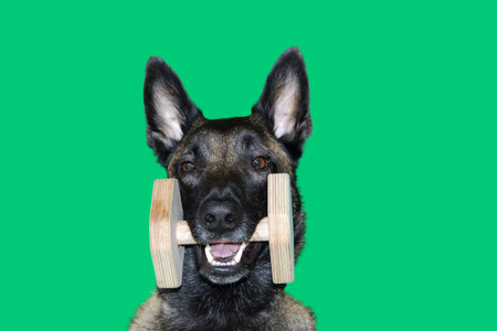a portrait of a young woman with a wooden dumbbell between the teeth for the mobile object, sport...