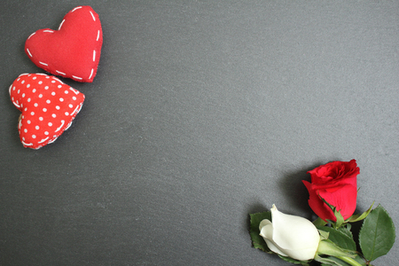 red and white rose flower on black backgroundの写真素材