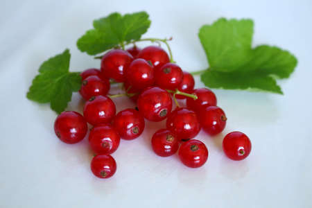 A bright red bunch of red currants and appetizing with its green leaves on white studio backgroundの写真素材