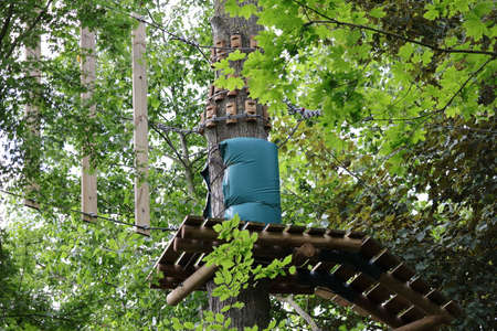 tree climbing course in summer sport activitiesの写真素材