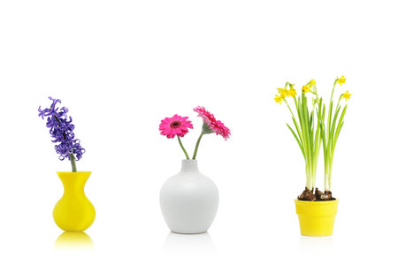 Spring flowers in vases and pot, isolated on whiteの写真素材