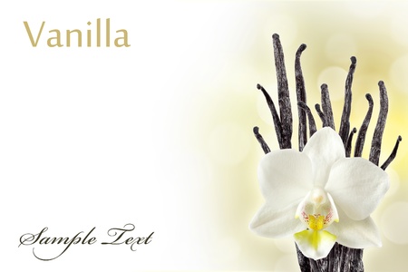 Vanilla beans and orchid flowerの写真素材