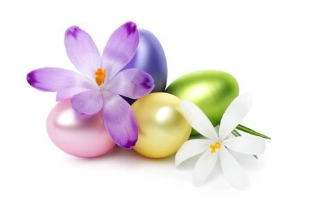 Easter eggs with crocus flower isolated on whiteの写真素材