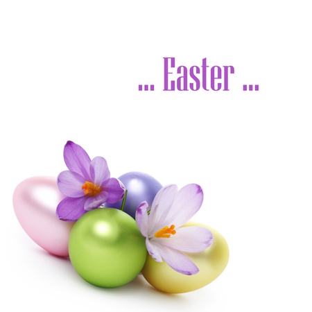 Easter eggs with crocus flower isolated on whiteの写真素材