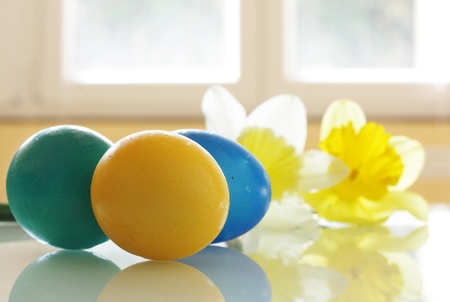 Painted Easter Eggs and Daffodils on the tableの写真素材